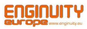 Enginuity Europe Logo