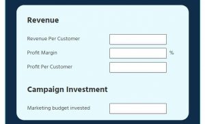 RoI Calculator revenue and campaign investment